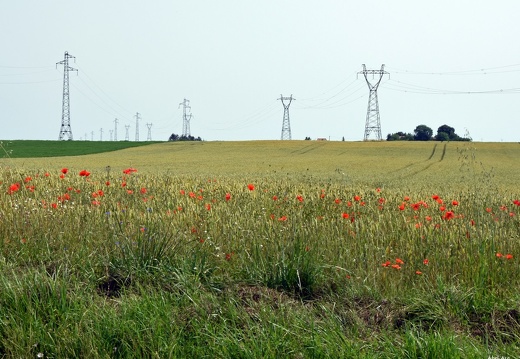 Douaumont (370 visites) Bras-sur-Meuse Douaumont