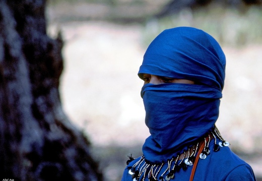 Orientalismes
