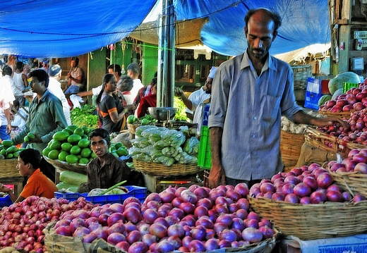 Mysore (490 visites) Mysore
