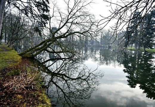 Vincennes