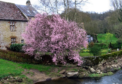 Saint-Céneri