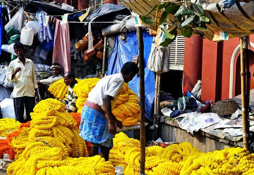 Calcutta