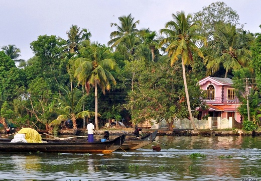 Backwaters