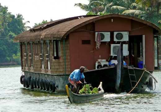 Backwaters