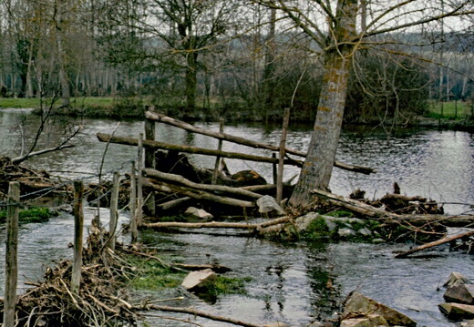 Thouars
